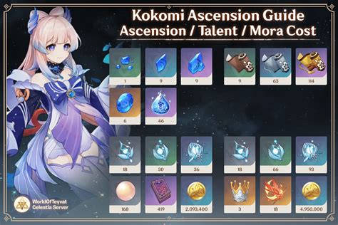 kokomi|Genshin Impact Kokomi Build